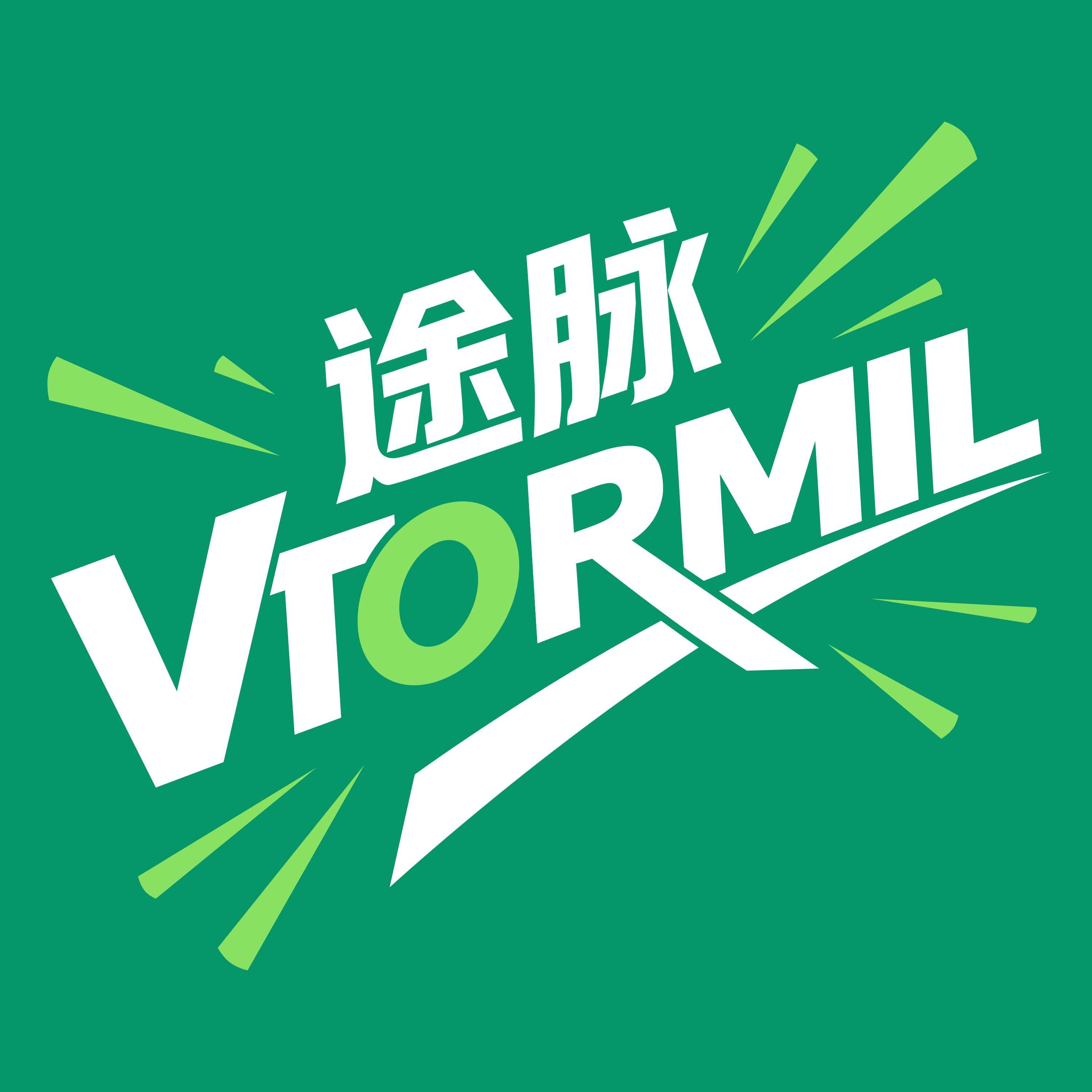 途脉VTormil 头像